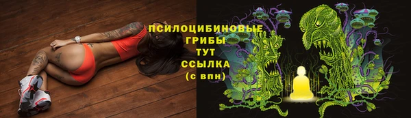 a pvp Алексин