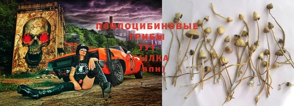 кокаин премиум Каменка