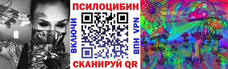 Галлюциногенные грибы Psilocybine cubensis  Апатиты 